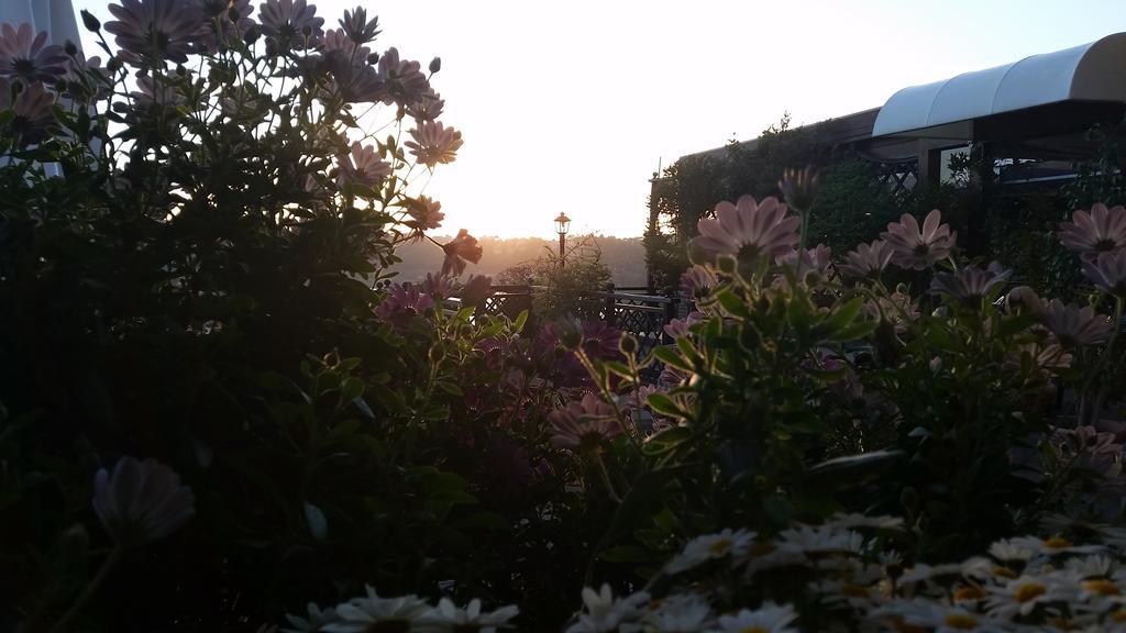 Hotel Villa Degli Angeli Castel Gandolfo Eksteriør bilde